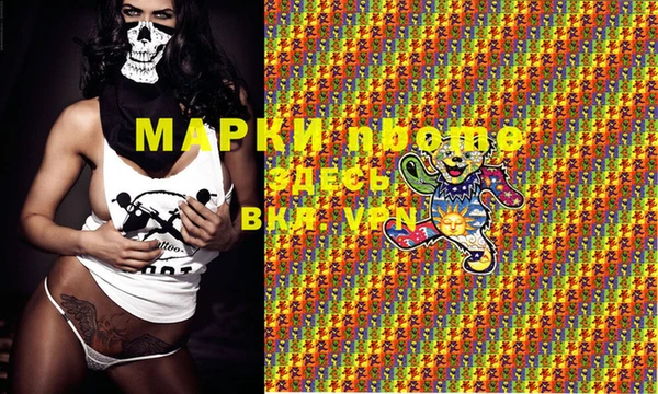хмурый Магас