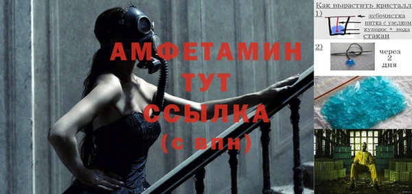 хмурый Магас