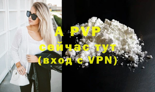 хмурый Магас