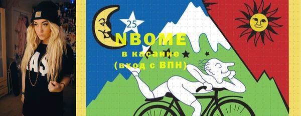 хмурый Магас